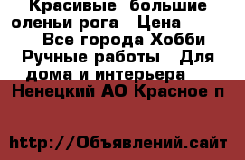 Красивые  большие оленьи рога › Цена ­ 3 000 - Все города Хобби. Ручные работы » Для дома и интерьера   . Ненецкий АО,Красное п.